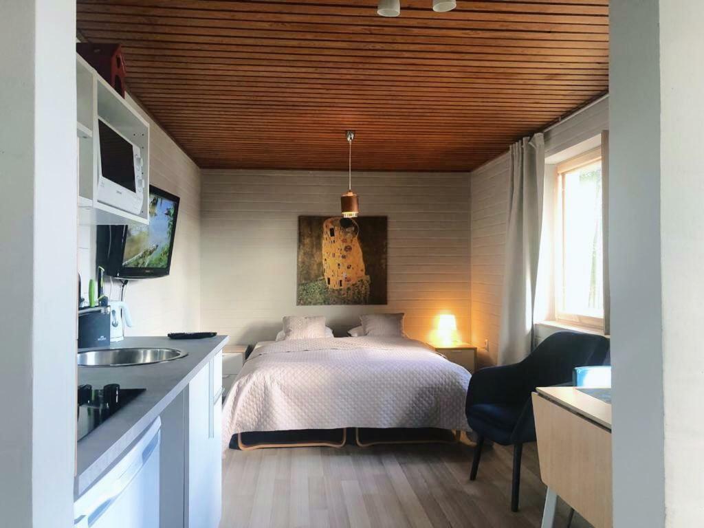 Villa Rajala Virasoja Kültér fotó